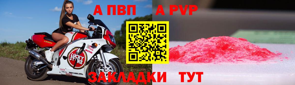 Тайшет  A PVP СК КРИС  А ПВП СК  APVP  Вход с VPN 