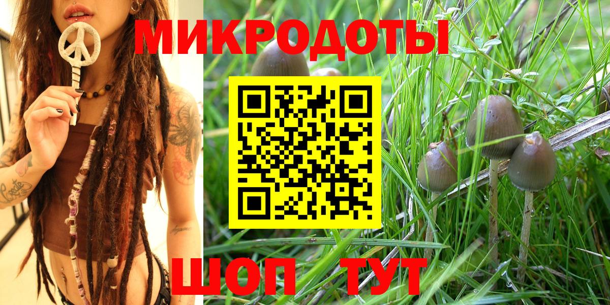 Галлюциногенные грибы GOLDEN TEACHER  Вход с VPN  Псилоцибиновые грибы Cubensis  Тайшет 