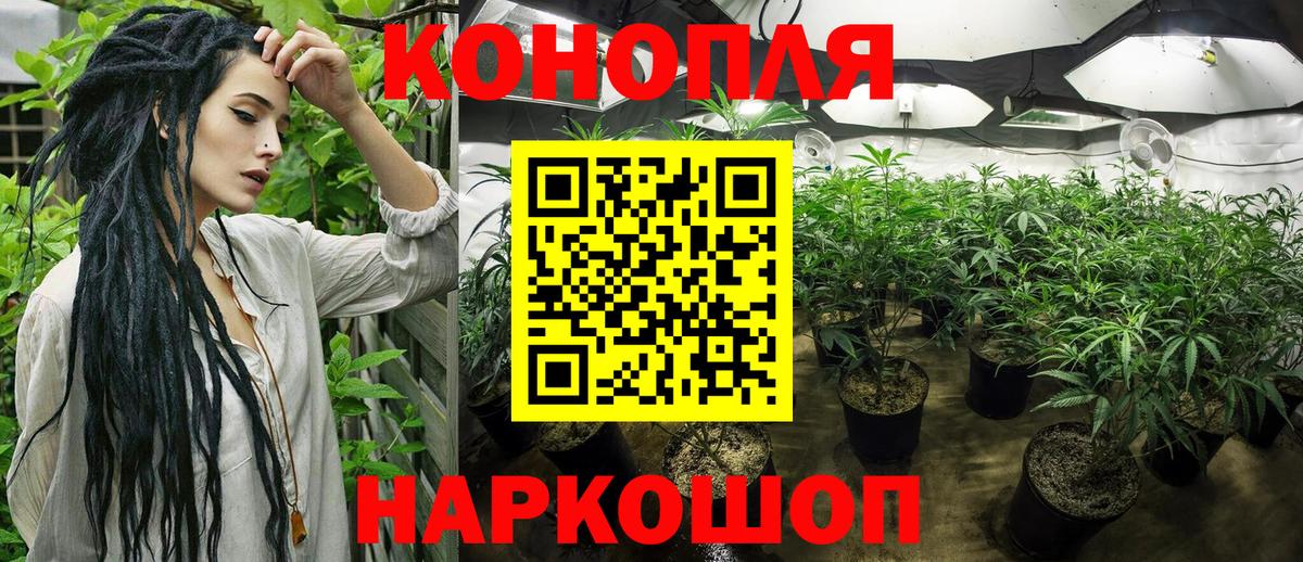 МАРИХУАНА индика Тайшет